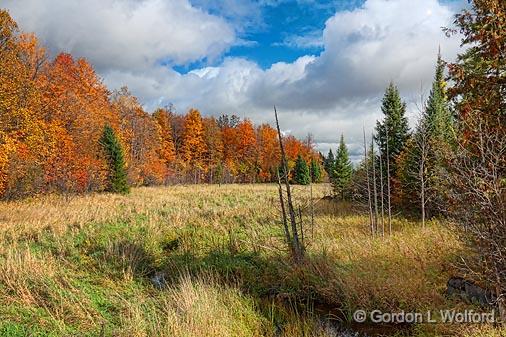 Autumn Landscape_23416.jpg - Photographed near Almonte, Ontario, Canada.